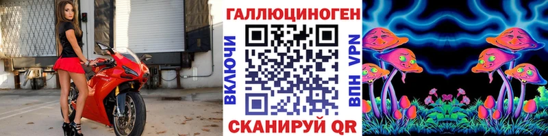 Псилоцибиновые грибы Psilocybe Заполярный