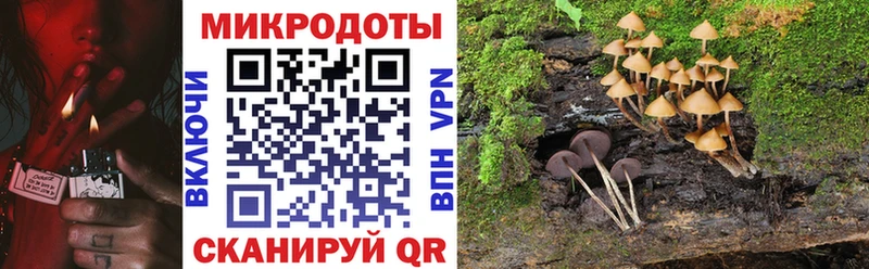 хочу   ссылка на мегу ссылки  Псилоцибиновые грибы Cubensis  Заполярный 